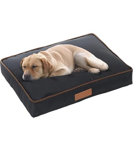 Ellie Bo Vervanging waterdicht hondenbed, 100 x 66 cm, Large, Groen Ellie Bo Vervanging waterdicht hondenbed, 100 x 66 cm, Large, Groen