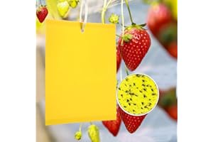 Panngu 50 Stück Gelbtafeln, Fliegenfalle Fänger Fliegenfängern Sticker für Gartenarbeit Pflanzenschutz Und Schädlingsbekämpfung Pilzmücken, Fliegende Blattläuse ect(15x20cm, Twist Krawatten enthalten)