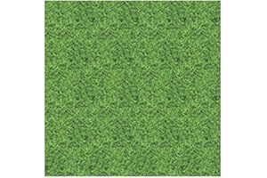 PAINT IT EASY Motiv-Fotokarton 49,5x68cm, Rasen