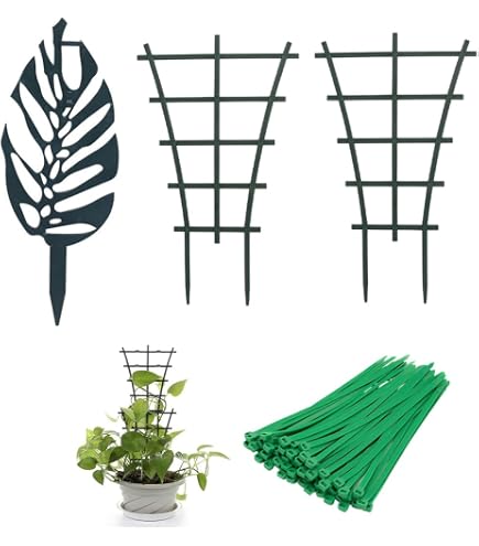 Set Supporti Per Piante Rampicanti – 3 Telai (2 A Scatola + 1 Tartaruga) Con 10 Fascette, Riutilizzabili