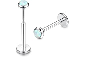 ADRAMATA 2Pcs G23 Titanium Labret Studs Lip Piercing Jewellery Threadless Push in Medusa Monroe Piercings Lip Bar Nose Studs Nose Piercings Conch Tragus Helix Piercing Jewellery