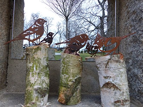 Vogel / Kohlmeise (Rostdeko) - 5