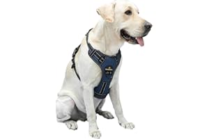 MASBRILL szelki dla psa, nieciągnące, odblaskowa kamizelka dla psa z uchwytem, regulowana, wyściełana, uprząż dla zwierząt domowych, do tresury na świeżym powietrzu, spacerów, z klipsami z przodu i z tyłu, dla małych, średnich i dużych psów, niebieskie, rozmiar L