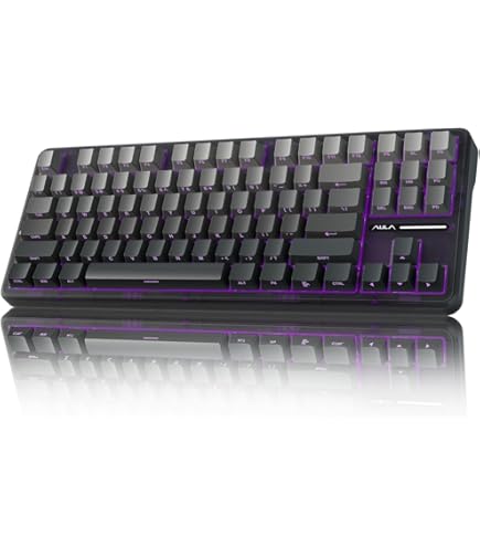 Amazon.in: Buy PFU HHKB Professional HYBRID Type-S Keyboard