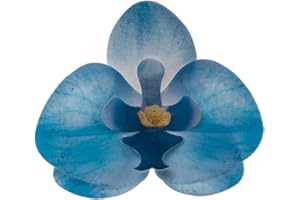 dekora – Fiori commestibili per torte – 10 orchidee in cialda blu 8.5 x 7.5 cm, Senza zucchero, glutine e lattosio, Decorazioni per cupcake, Torta di compleanno, matrimonio e battesimo