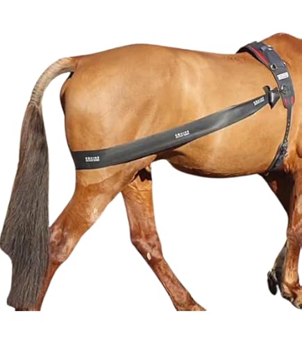 Shires Harbridge Training Hulp Nylon Black