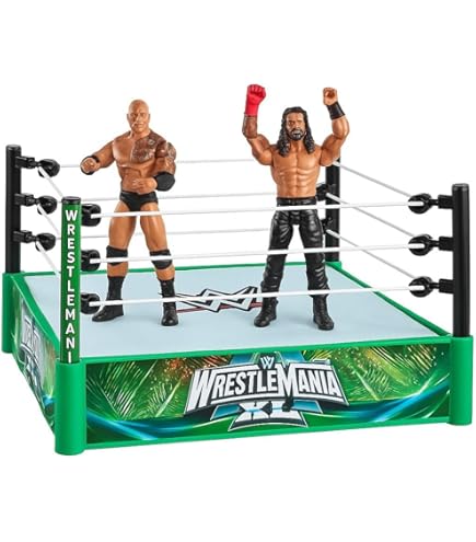 WWE Championship - WWE Iconic Tag Team: Rock 'N' Sock Connection