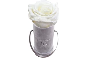 Emmie Gray Classic Infinity ROSENBOX | Velvet Gray | Runde Flowerbox - Infinity Rosen in Grauer Samtbox - 1-3 Jahre Haltbarkeit - Echte Rosen, die jahrelang blühen - Haltbare Rosen (XXS, Pure White)