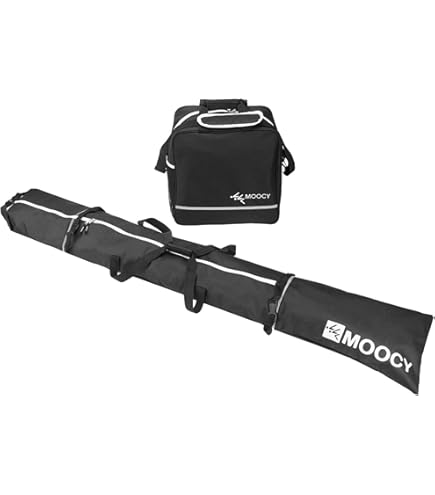 Tecnica Mach BOA HV 100 GW, skischoenen, heren, donkergrijs