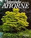 Produktbild Japanische Ahorne