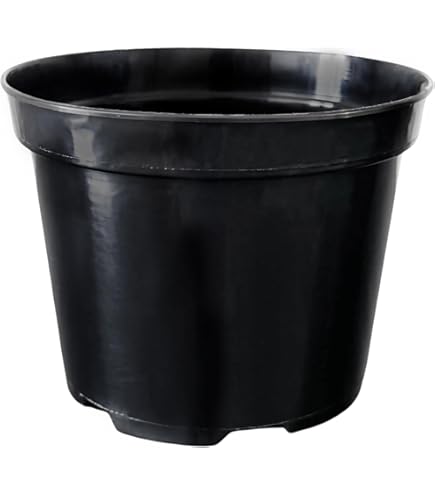 Stewart 2847005 30,5 cm Vaso da Fiori Piattino, Colore