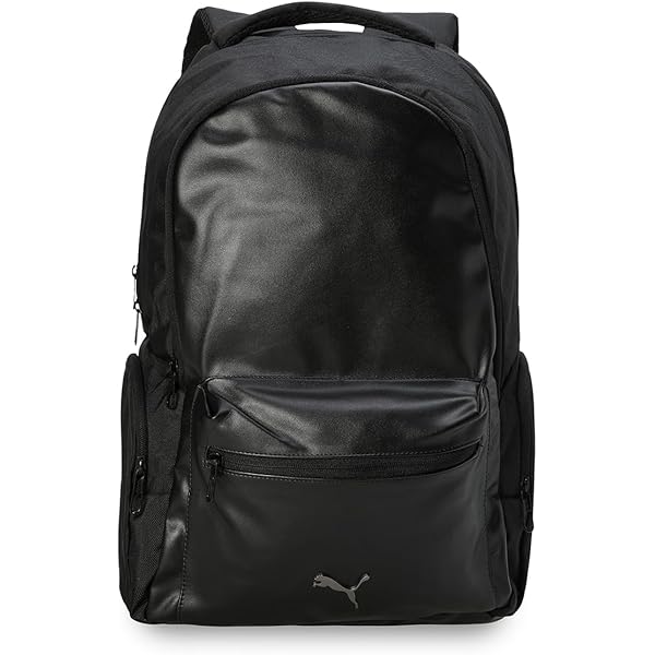 Buy Nike NSW Cheyenne 2000 Eugene Leather Backpack BA4385-030