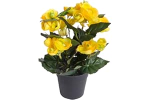 ‎BOTANIC-HAUS künstliche Begonie (Begonienbusch) mit 7 Stielen im schwarzen Kunststofftopf (gelb)