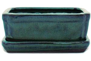 exotenherz - Bol à bonsaï avec soucoupe taille 1 - Vert - Carré - Modèle G15 - L 12 cm - l 9,5 cm - H 4,5 cm