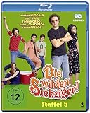 Die wilden Siebziger! - Die komplette 5. Staffel (2 Blu-rays) - Ashton Kutcher