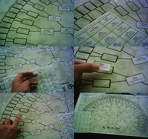 Godridges of Coventry Family Tree Chart - 7 Generation Fan Design - A1 Size Glossy Poster - Genealogy Ancestry Pedigree Chart - 60 Day Guarantee