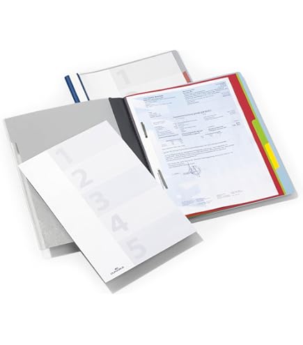 DURABLE Hunke & Jochheim Einhänge-Sichthefter, Kunststoff, DIN A4, 280