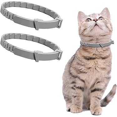 Amazon.de Bestseller: Die beliebtesten Artikel in Flohhalsbnder fr Katzen