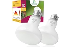 REPTI HOME Reptilien Wärmelampe Terrarium 100W 2stück, E27 Intense Basking Spot Lampe Terrarium, Wärmelampe tiere Heizung für Schildkröten, Bartagame, Schlange, Huhn, Hund