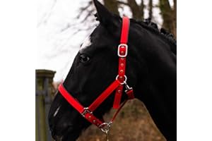 Pferdelinis Cavezza per sangue caldo sangue pieno sangue freddo pony cavezza stalla cavezza per salice fibbie regolabili in 2 posizioni sicura e resistente agli strappi (rosso sangue pieno (cob))