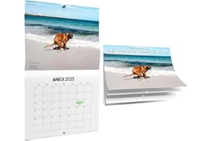 Ellxen Calendario 2024 con cuccioli di cane, calendario da parete con cuccioli di cane, calendario artistico da parete, regalo umoristico per la famiglia, agenda giornaliera (cane da spiaggia A)