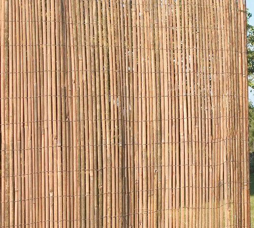 Preisvergleich Produktbild Bambus-Sichtschutz, 4 m x 1 m)