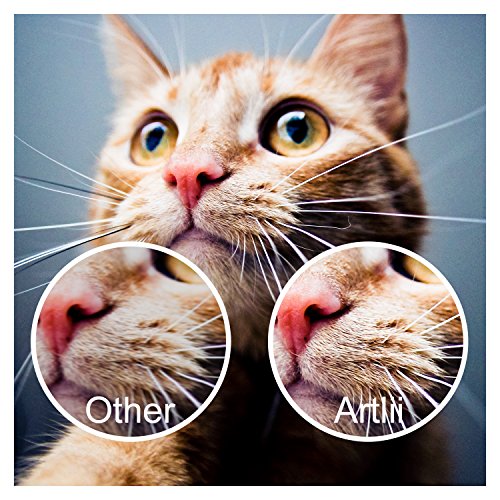 Videoproiettore, Artlii Led Lcd HD Portatile proiettore 3200 Lumen Supporto 1080p Home Cinema Ufficio Riunioni Educazione Presentazione per il iPhone Smartphone Tablet PC Computer Proiettore