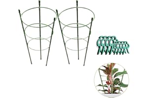 MUAEEOK 2 Pack 45cm Plant Support Cage with 8 Clips Rust Resistant Garden Plant Support Ring Plant Stake Plant Support for Tomato, Trellis, Climbing Plant, 14/16/18cm Inner Diameter (2PACK-45cm)