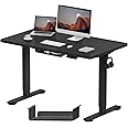 FLEXISPOT E1 Plus ONE PIECE Electric Standing Desk Height Adjustable Sit Stand Desk with Memory Smart Panel Backpack Hook 120 * 60cm(Black Frame+Black Desktop)