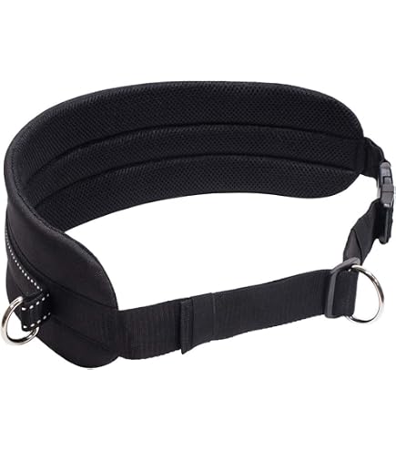 LASALINE Imbracatura Per Cani Da Traino X-Back Per Bikejoring, Canicross, Scooter, Skijoring, Dog-Trekking, Sleddog - Nero Azzurro - 3