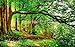 Produktbild GBHL 3D Natur Wallpaper Wald Landschaft Foto Wandmalereien grünen Baum Tapeten für Wohnzimmer Sofa Hintergrund Wände Wohnkultur, 200x140 cm (78,7 von 55,1 in)