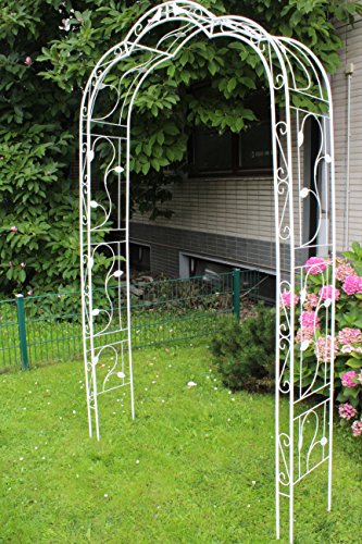 détail Arcade à roses Support pour plantes grimpantes XXL