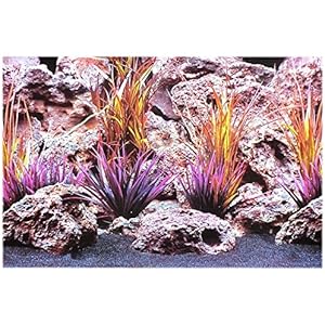 Rückwandfolie 150cm x 60 cm Rückwandposter für Terrarien