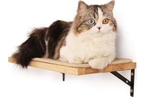 FUKUMARU Pływający regał ścienny z matą do drapania dla kota, grubość 2 cm, półki wiszące z litego drewna, 40 x 25 cm