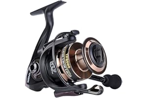 Gosccess Angelrollen Spinnrollen Süßwasser Salzwasser Angelrolle 14+1BB Kugellager Spinnrolle Links/Rechts Austauschbare Angelrolle