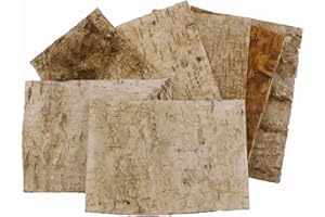FloristryWarehouse Birch tree bark sheets (bundle of 7) 24 x 17cm (9.5 x 6.5 inch).