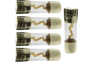 AERZETIX: Set di 5 fusibili AGU 10A per l'installazione di amplificatori subwoofer per automobile C40689