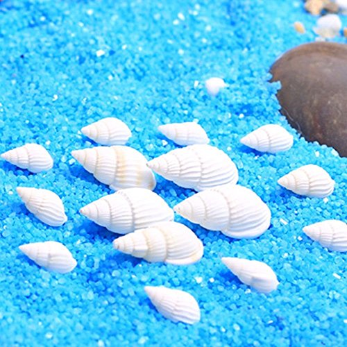Miniatur Garten Sand Strand Landschaft Verzierung Muschel Fertigkeit Dekor Kleine weiße Schnecken - 2