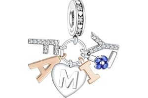 H.ZHENYUE Abalorio in Argento Sterling 925 Love My Family Charm Bead Compatibile con Bracciale e Collane Europei,regalo para el cumpleaños del día de la madre para mujeres y niñas