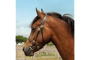 WINDSOR SMITH Windsor Leather In-Hand Horse Bridle Cob, Havana