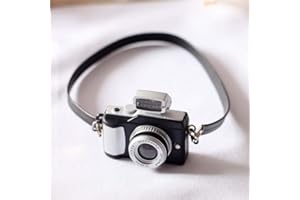 WITGIFT Miniatur Kamera Puppenhaus Dekoration Zubehör Mini Ornament Haus Garten Möbel Deko