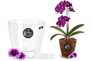 LiveLaif®- Maceta orquidea Transparente Redonda Oval Ø14,5cm + Plato | Maceta Transparente orquidea | Agujeros Drenaje, Efecto Vidrio | Cubremaceta | Hecha en España, Tamaño a Elegir (1, Ø14cm)