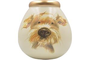 Pot Of Dreams Money Banks, Ceramic, White, 14cm x 14cm x 14cm