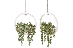 Floweroyal Pack of 2 Artificial Succulent Hanging Plants 12.2 Inch Fake Pearl Chain in Pot with 8.3 Inch Lanyard for Wall Decoration Indoor and Outdoor Use