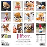 Image de Jiffpom 2017 Calendar