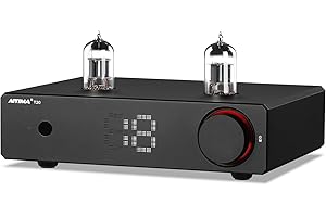 AIYIMA T20 Preamplificatore valvolare completamente bilanciato LME49720 per HiFi Home audio mini preamplificatore valvolare con ingressi e uscite RCA e XLR e uscita trigger 12V (DC12V 2A)
