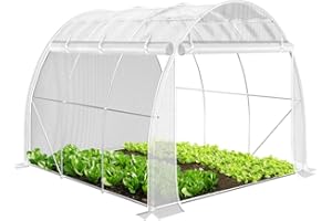 VOUNOT® Gewächshaus Foliengewächshaus, Seitenwände Aufrollbar Winterfest, Tomatenhaus Folientunnel, 3x2x2m 6m², Weiß