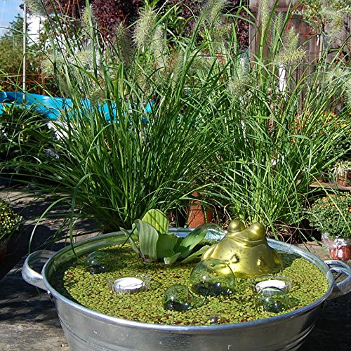 Miniteich mit Zinkwanne Glasschwimmkugeln Teelicht Schwimmfrosch und Wasserpflanzen