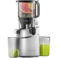 Juicer Machines, AMZCHEF 5.3-Inch Self-Feeding Masticating Juicer Fit Whole Fruits & Vegetables, Cold Press Electric Juicer Machines with High Juice Yield, Easy Cleaning, BPA Free, 250W (Silver)