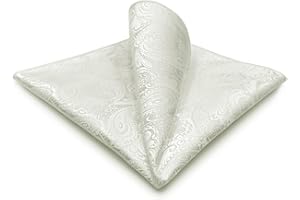 S&W SHLAX&WING Paisley Pocket Squares for Men's Suit XL Large for Wedding Prom Party